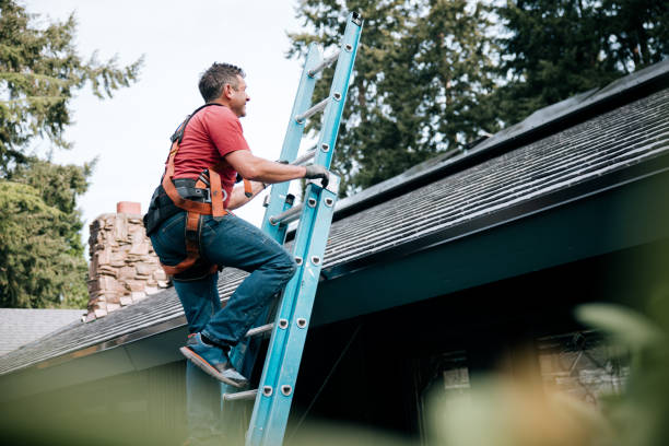 Best Solar Panel Roofing Installation  in Marietta, OK